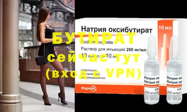 индика Вяземский