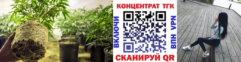 закладка  KRAKEN сайт  ТГК вейп с тгк  Зуевка 